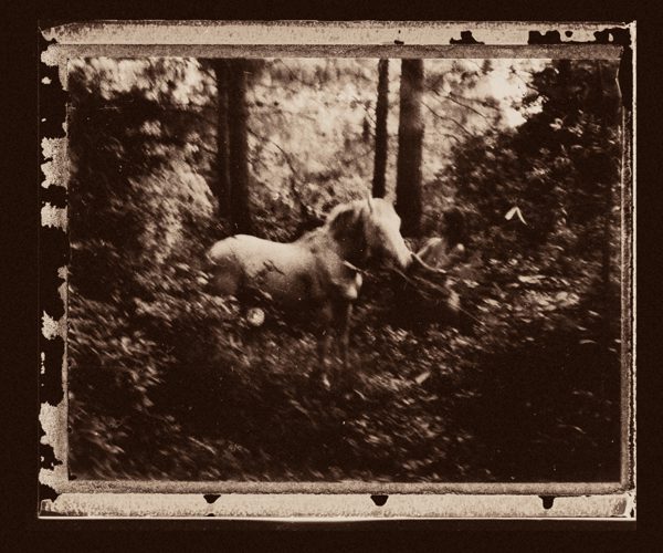 Project: Longing (Sneak Peak) Polaroid