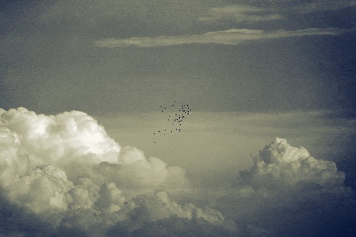 Clouds with Dove's 2